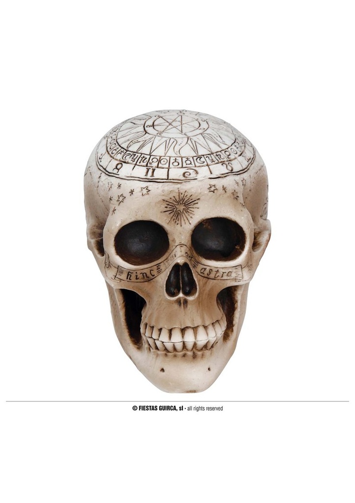 Halloween Decoration Black Magic Skull 20cm