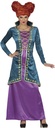 Sister Witch Medium - Adult Size Large (42-44)