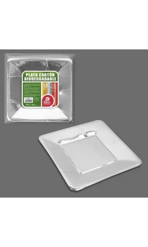 Metallic Silver Square Paper Plate 18cm - 12pk