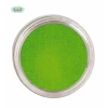 Professional Water Based Face & Body Paint 15gr - Light Green