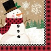 Winter Wonderland Napkins 25cm x 25cm - 16pk