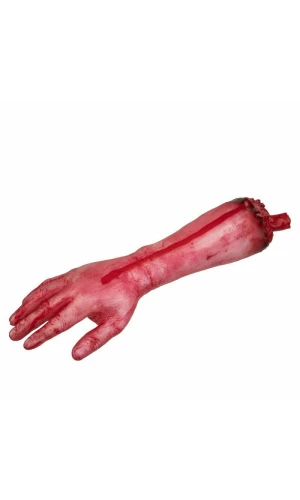 Amputated Forearm - 40cm x 12cm
