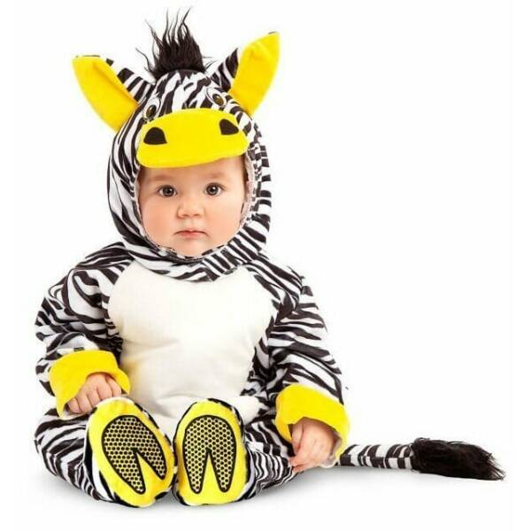 Cute Little Zebra - Age 7 to 12 Months