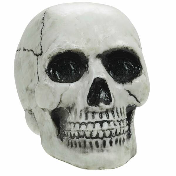 Skull Plastic (10.4 x 7.6 x 12.7cm)