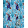 Frozen Giftwrap with Tags - 50cm x 69.5cm