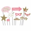 Princess For A Day Photo Booth Kit - 10pk