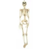 Hanging Skeleton (20643) - 90cm