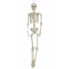 Hanging Skeleton (26044) - 160cm