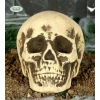 Halloween Foam Skull - 22cm