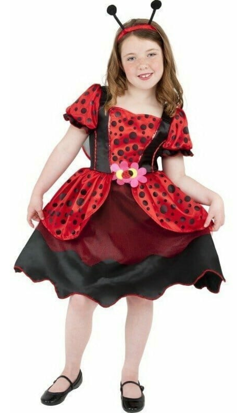 Lady Bug - Age 4 to 6 Years