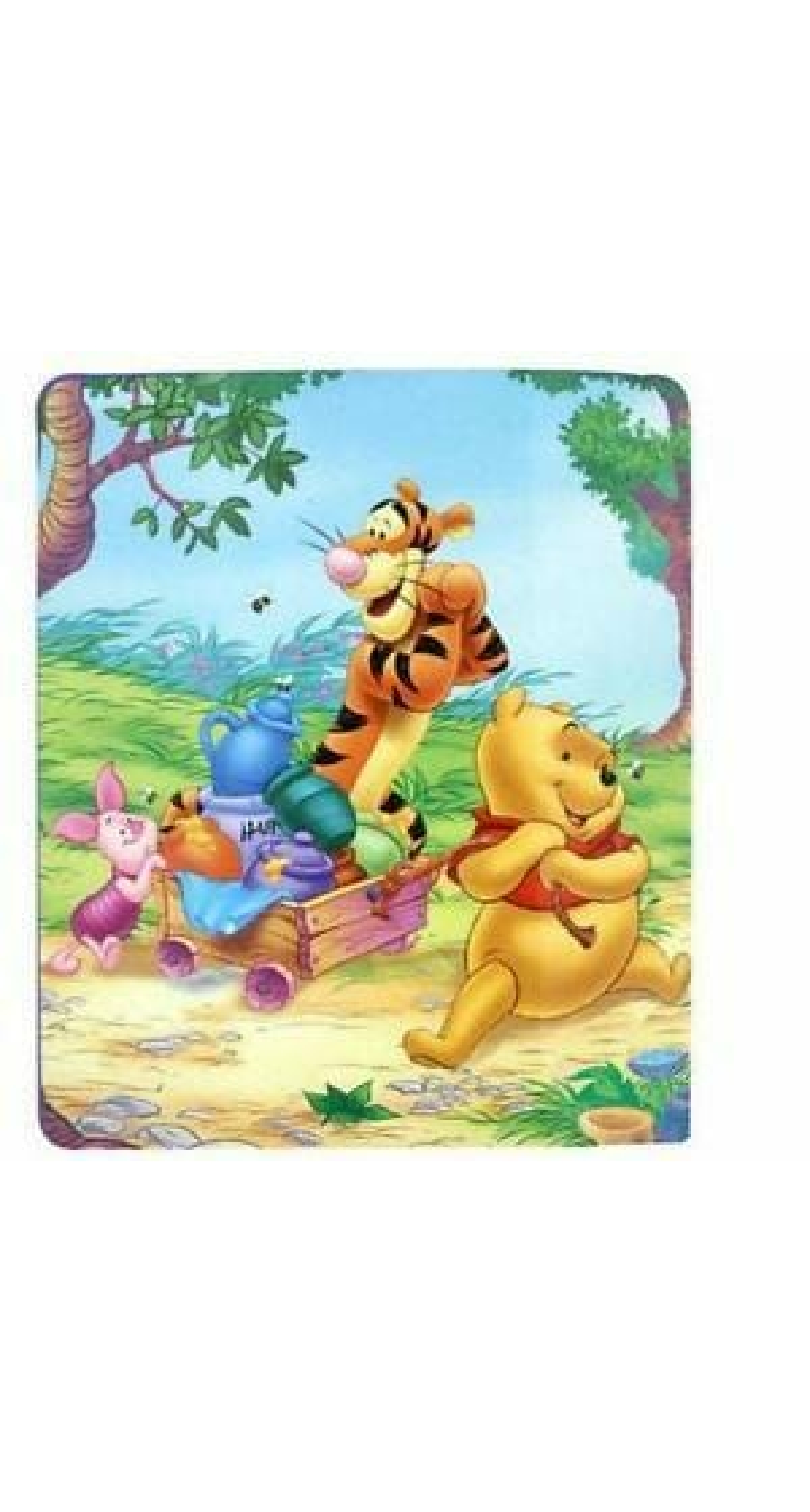 Winnie the Pooh Fleece Throw Blanket -117cm x 152cm