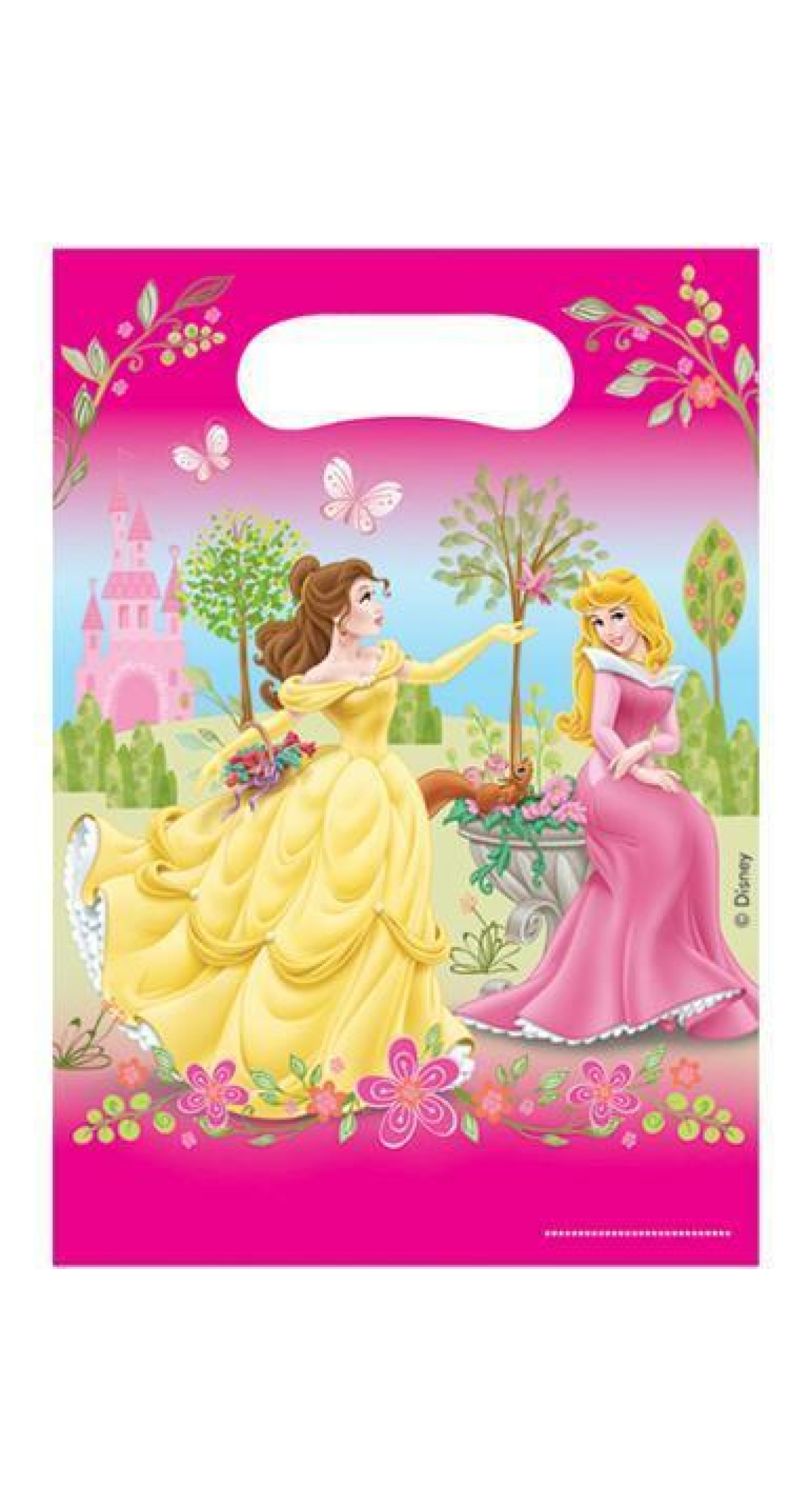 Disney Sleeping Beauty Plastic Party Bags - 6pk