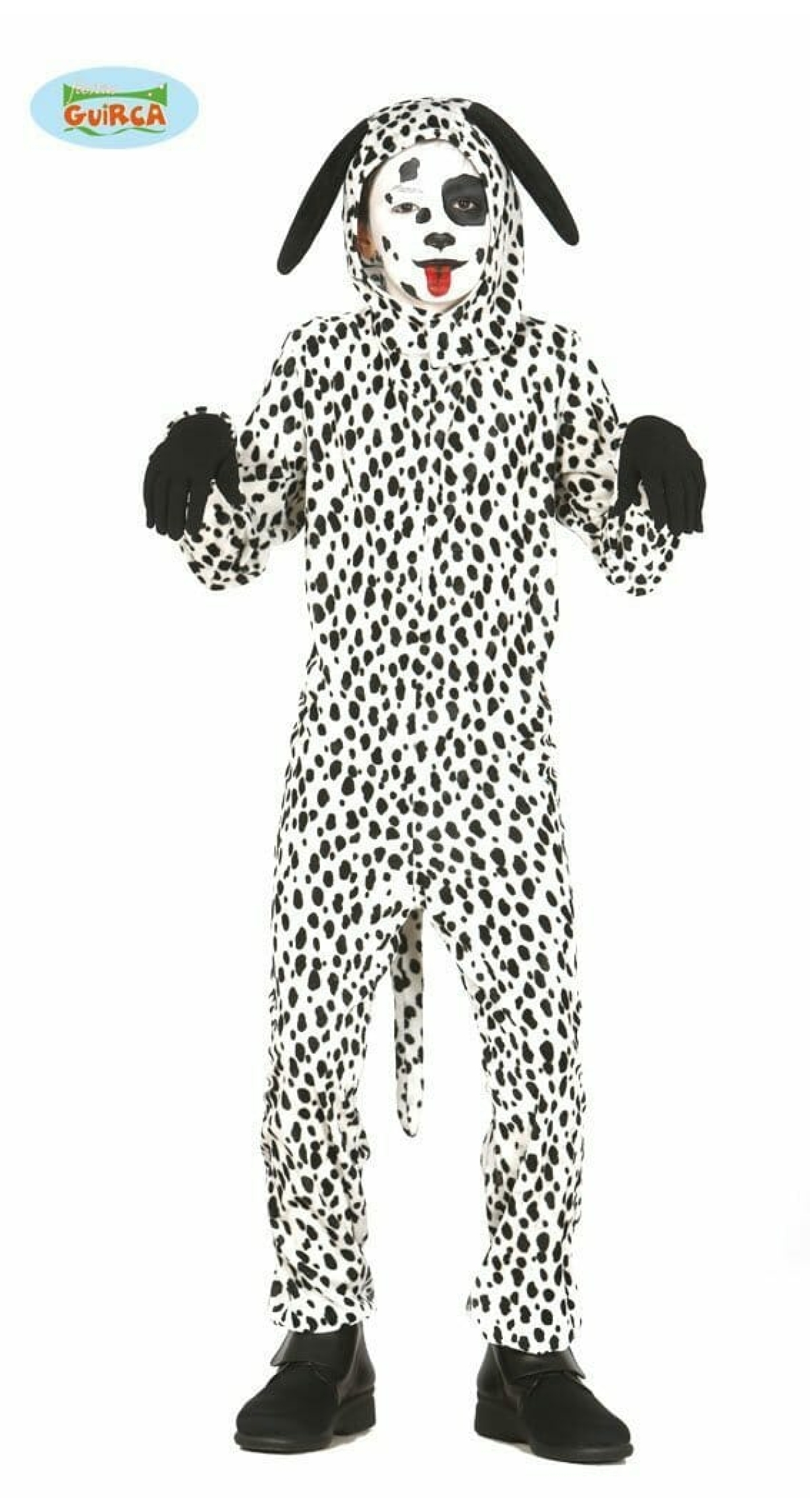 Dalmatian Puppy - Age 10 to 12 Years