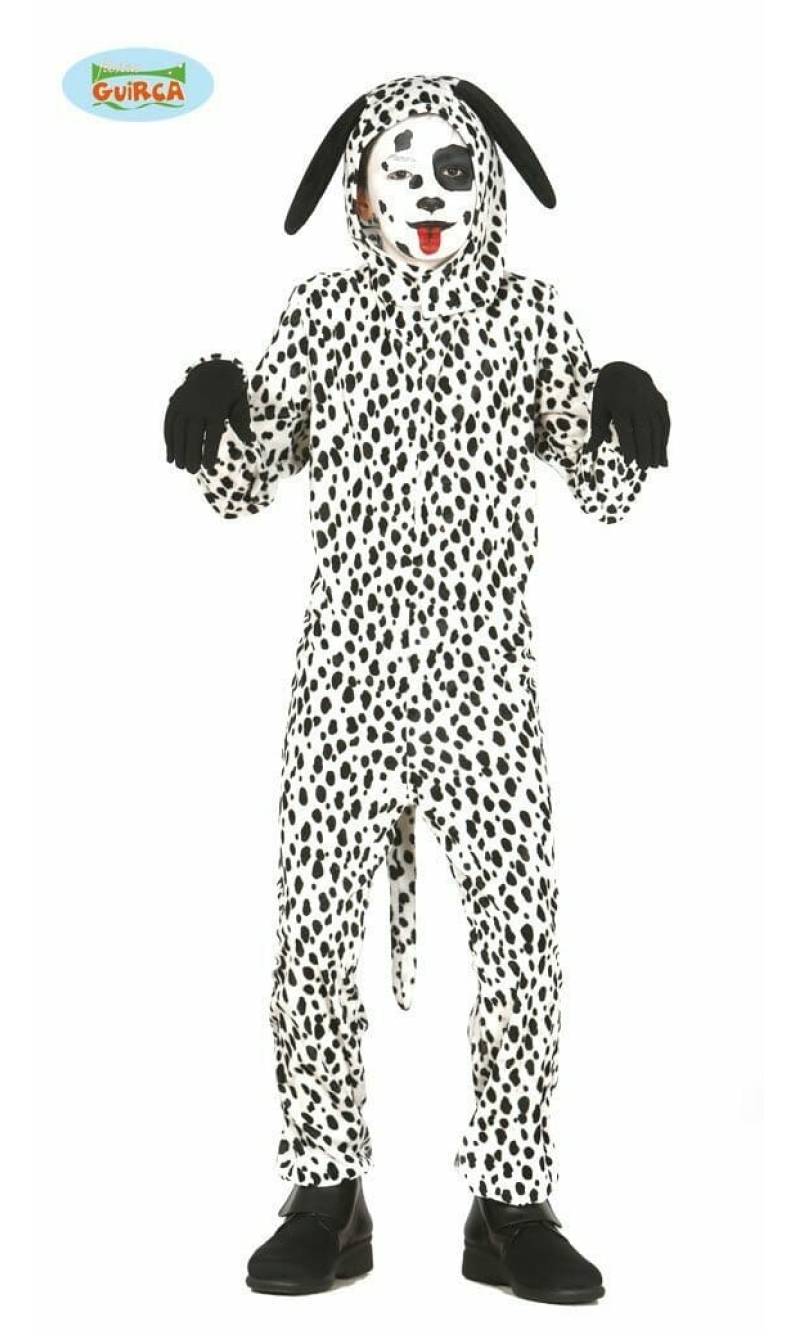 Dalmatian Puppy - Age 10 to 12 Years