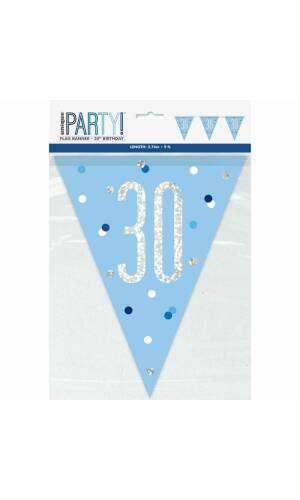 Glitz Blue & Silver Prismatic Plastic Flag Banner 30 - 9 Feet