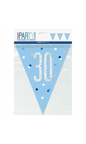 Glitz Blue & Silver Prismatic Plastic Flag Banner 30 - 9 Feet