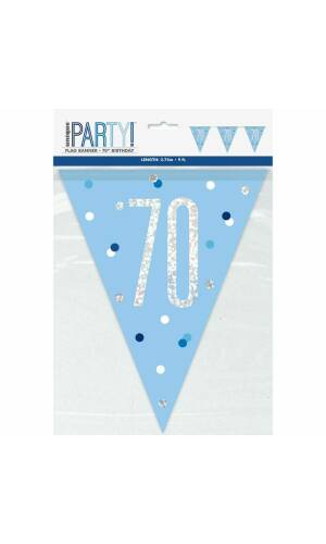 Glitz Blue & Silver Prismatic Plastic Flag Banner 70 - 9 Feet