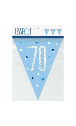 Glitz Blue & Silver Prismatic Plastic Flag Banner 70 - 9 Feet