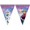 Disney Frozen Northern Lights Triangle Flag Banner (9 Flags)