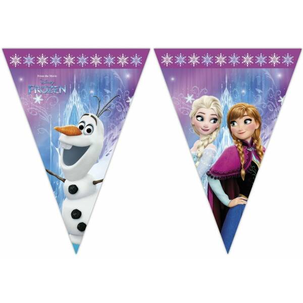 Disney Frozen Northern Lights Triangle Flag Banner (9 Flags)