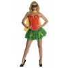 Official Robin Corset Costume - Adult Size Large