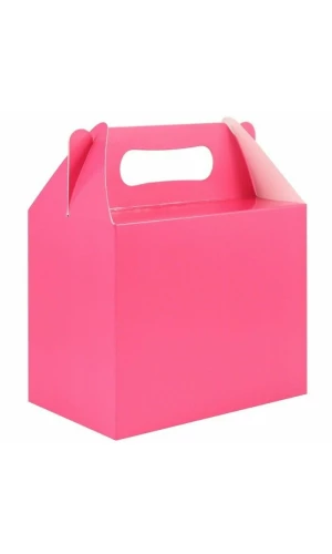 Party Favour /  Lunch Box - Hot Pink