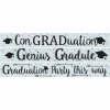 Graduation Paper Banners 3 Designs 1m Each - 3pk