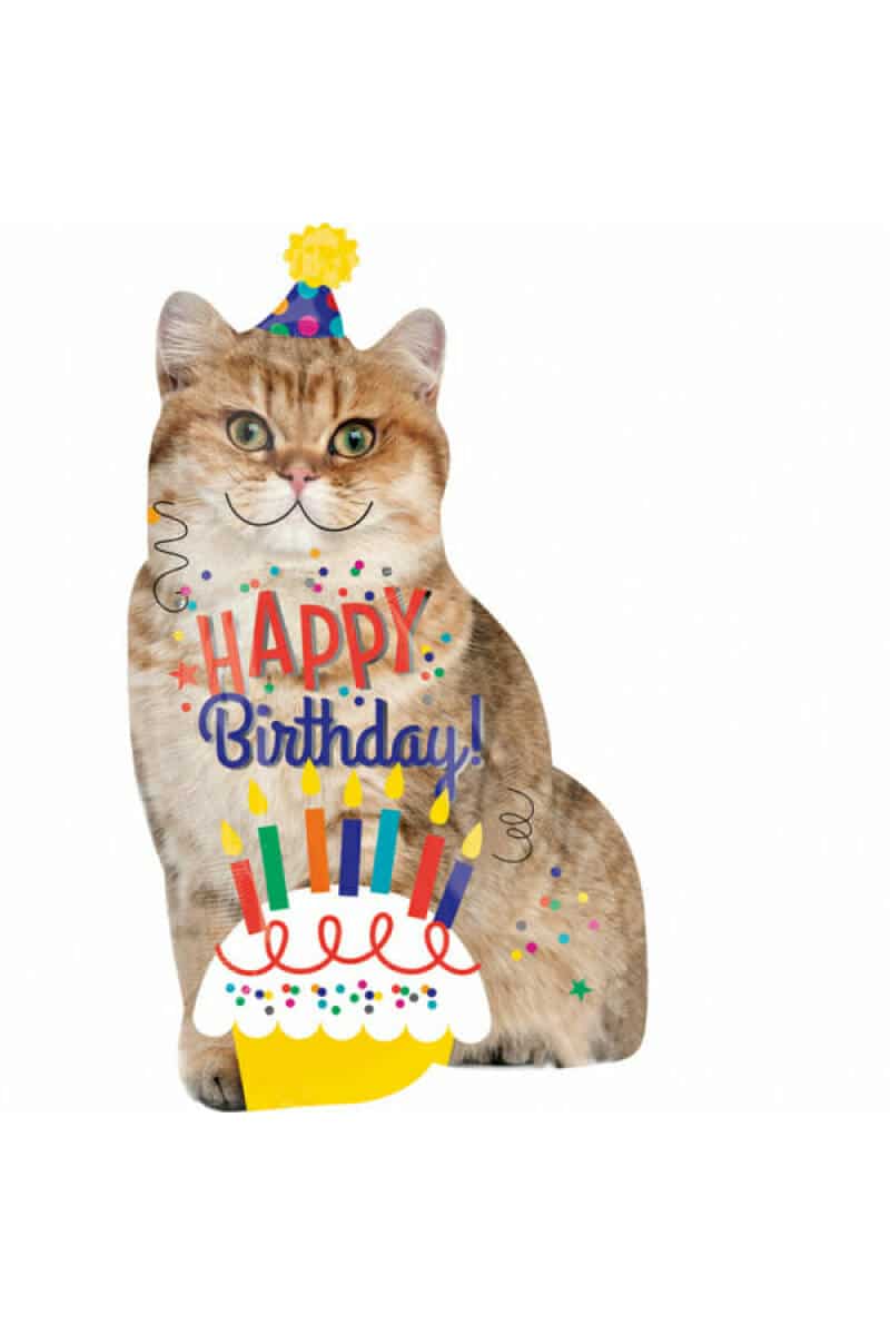 SuperShape "Happy Birthday Cat" Foil Balloon - 45cm x 83cm