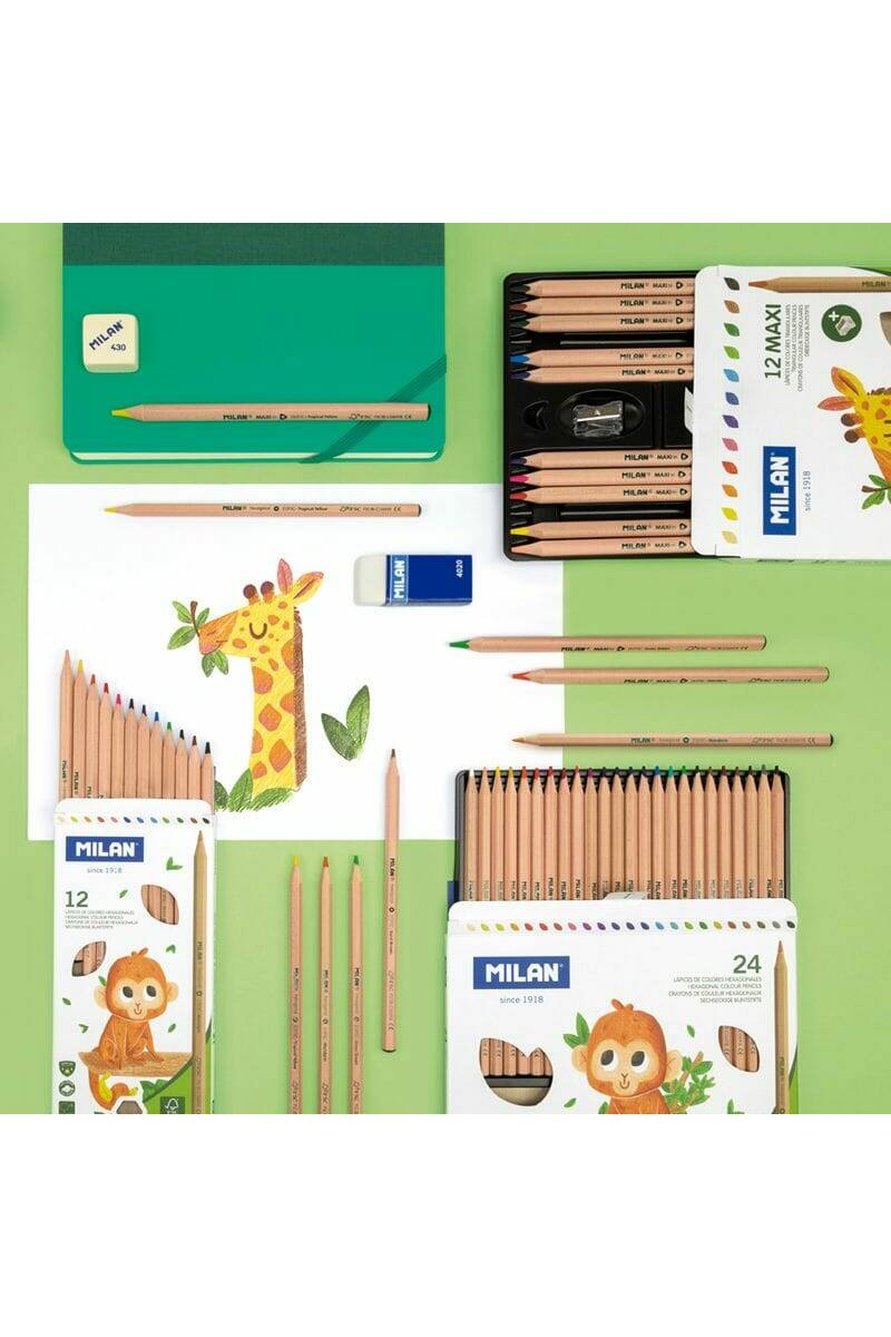 Hexagonal Colour Pencils - 24pk