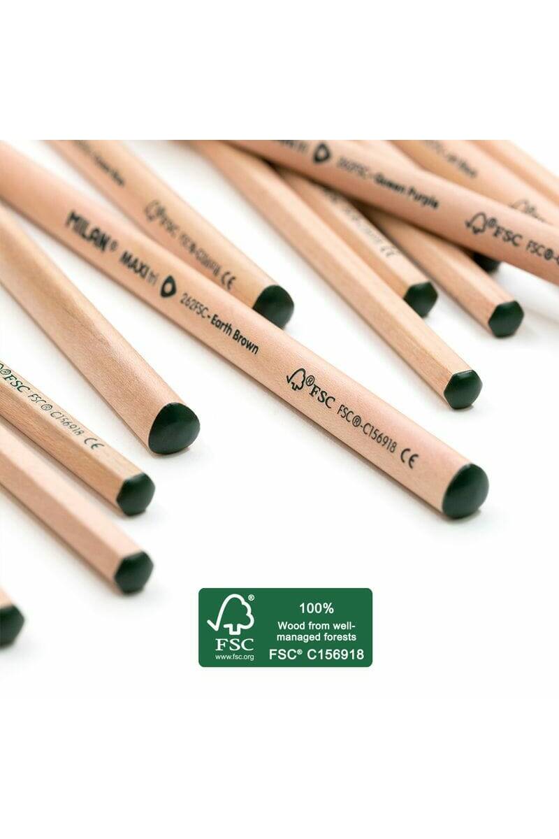 Hexagonal Colour Pencils - 24pk