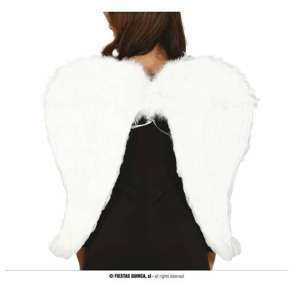 White Feather Wings - 80x60cm