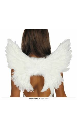 White Feather Wings - 50x45cm
