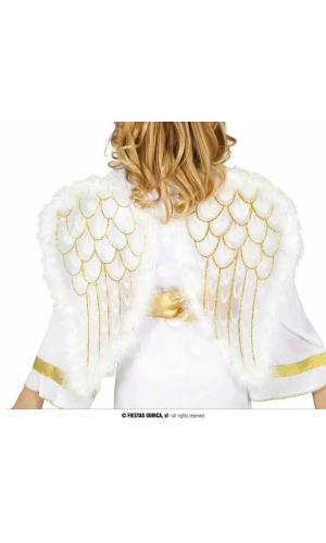 Angel Wings - 47x40cm