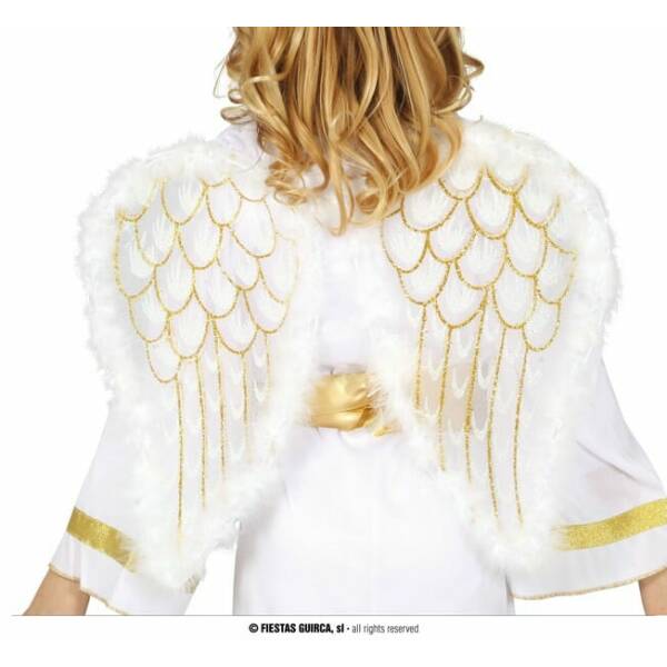 Angel Wings - 47x40cm