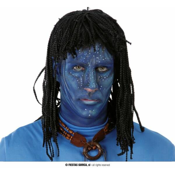 Black Native Avatar Wig - Adult One Size