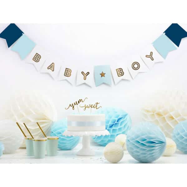 Baby Boy Banner - 15cm x 160cm