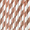 Paper Straws, Light Rose Gold, 19.5cm (1 pkt / 10 pc.)