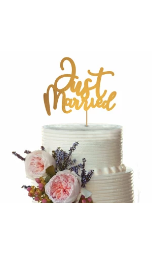 Wedding Cake Topper "Just Married" 
