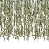 Botanical Leaf Ribbon Backdrop