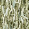 Botanical Leaf Ribbon Backdrop
