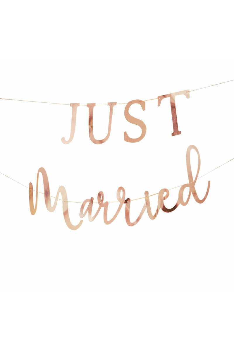Rose Gold Scripted Just Married Banner