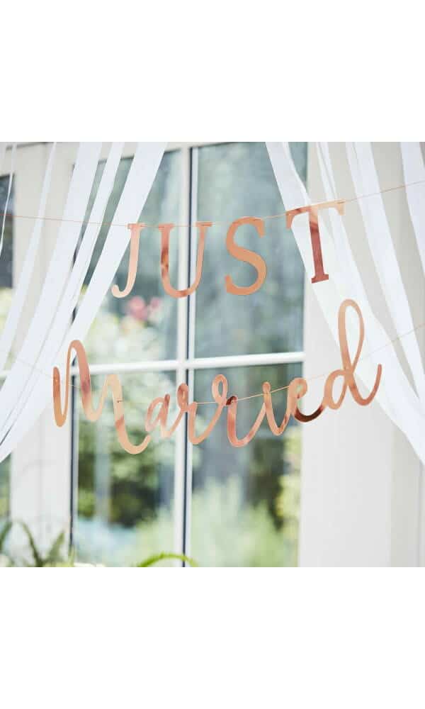Rose Gold Scripted Just Married Banner