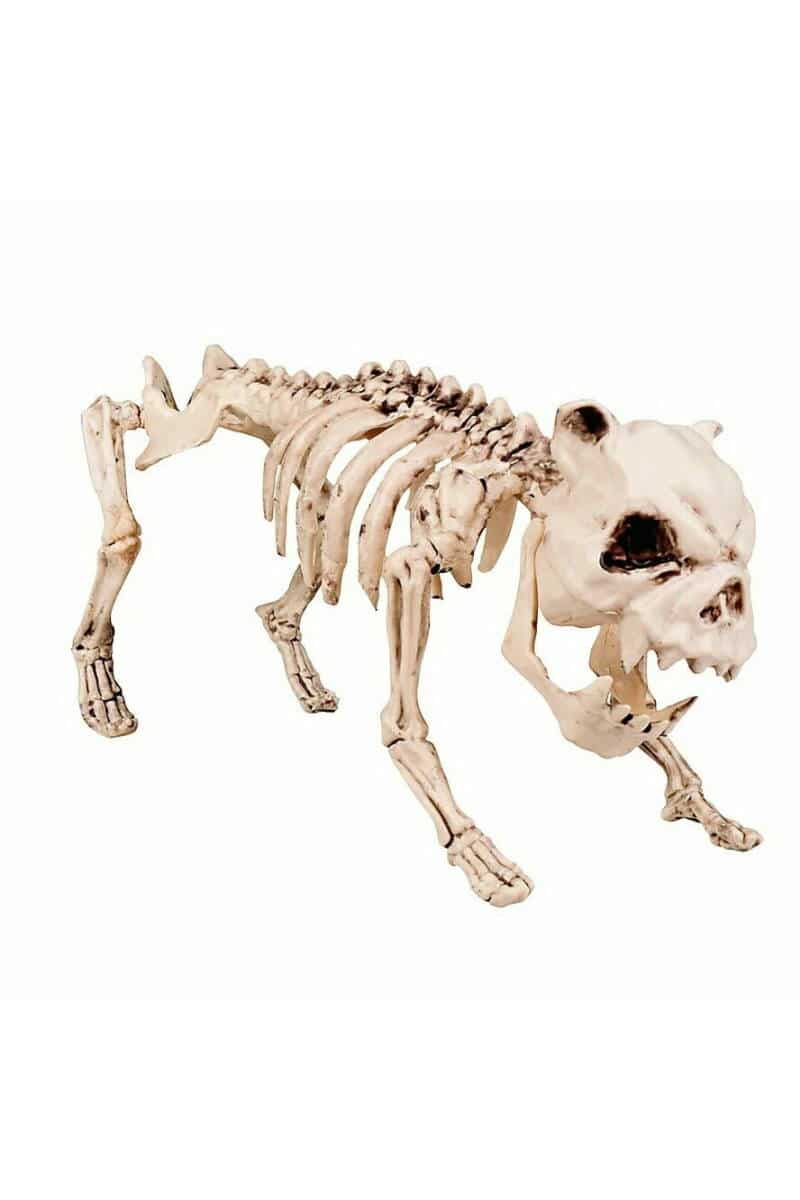 Halloween Skeleton Dog Decoration