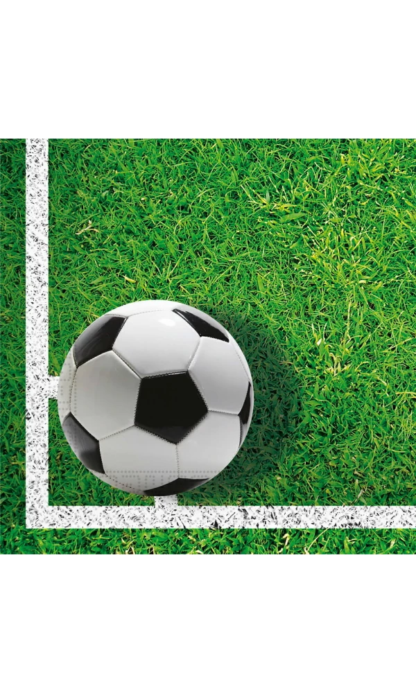 Football Party Two-Ply Paper Napkins 33x33cm - 20pk