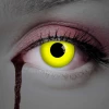 Contact Lenses Lumen (1 Pair) - 12 Month Use