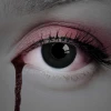 Contact Lenses The Dark Eye (1 Pair) - 12 Month Use