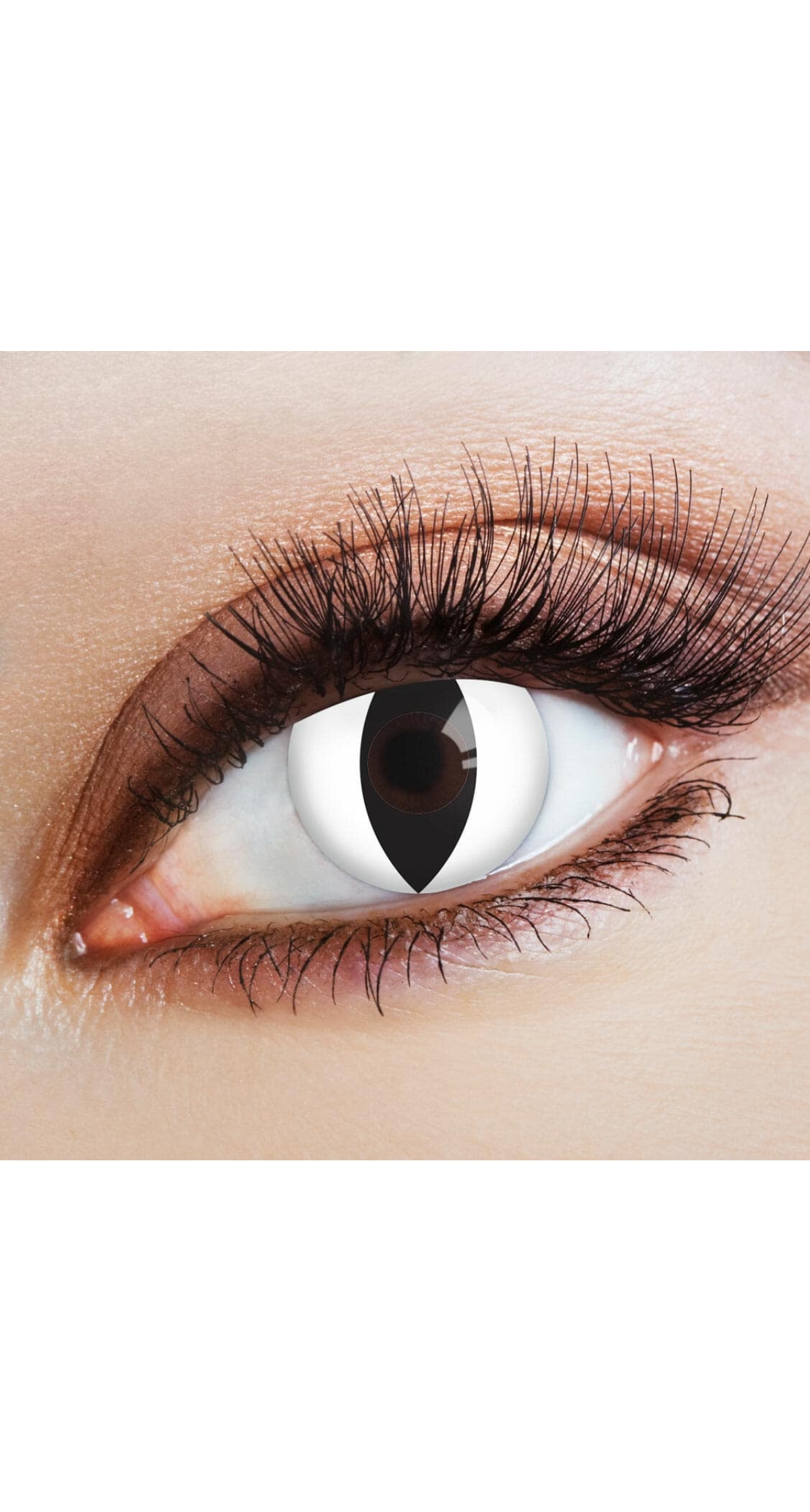 Contact Lenses Catwalk (1 Pair) - 12 Month Use