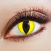 Contact Lenses Glowing Cat (1 Pair) - 12 Month Use