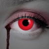 Contact Lenses Law of Desire (1 Pair) - 12 Month Use