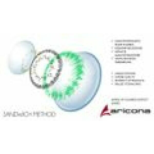 Contact Lenses Hunter (1 Pair) - 12 Month Use